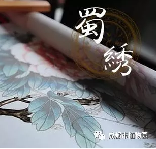 蜀绣科普讲座&团扇蜀绣DIY活动招募