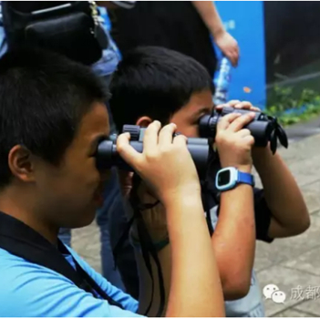 清明活动招募之趣味观鸟活动