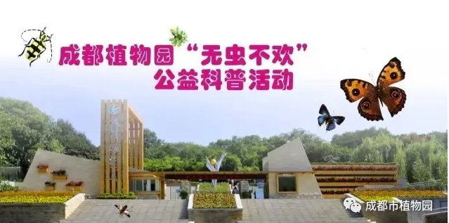 活动招募-世界地球日之无虫不欢活动