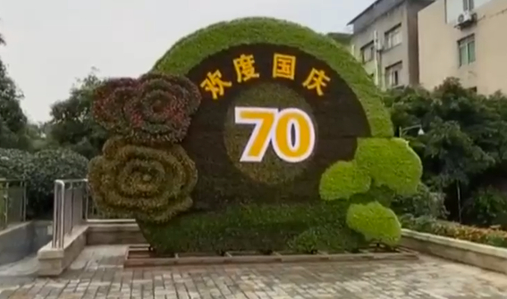 芙蓉花节看成植，芙蓉盛景不胜收