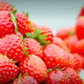 四季花木观赏指南-（草莓）