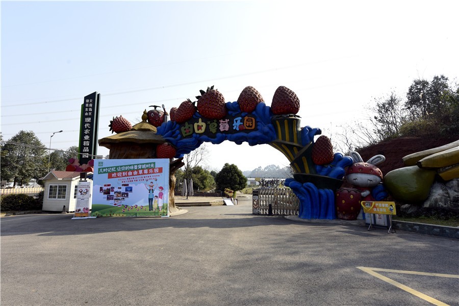 四季花木观赏指南--草莓