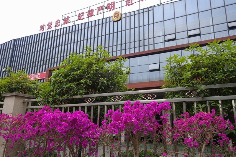 四季花木观赏指南--三角梅