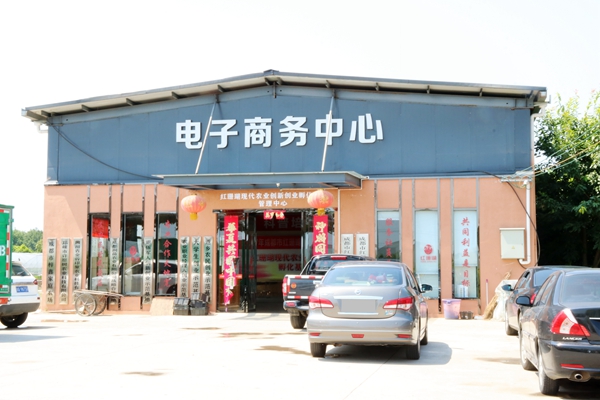 四季观花（果）指南 ---  葡萄 